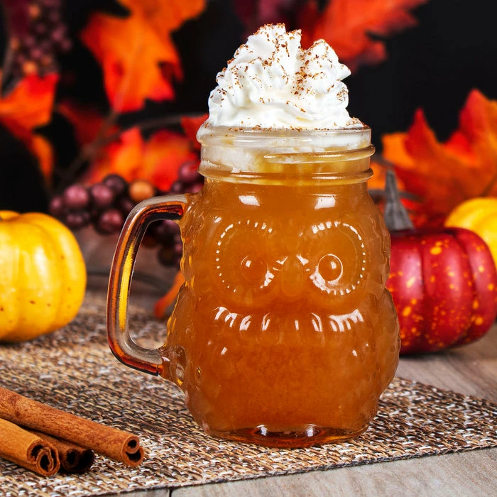 Outlet 👍 BarMan BarConic® Owl Mason Jar W/handle - 4 Ounce 😍 2 Outlet 👍 BarMan BarConic® Owl Mason Jar W/handle - 4 Ounce 😍 - Image 2