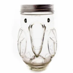 Budget 😀 BarMan BarConic® Parrot Mason Jar W/lid - 14 Ounce 😉 -Barman Sales Store barconic parrot mason jar clean2 700x700