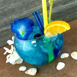 Top 10 ⭐ BarMan BarConic® 48 Oz Tropical Fish Bowl Glass 🌟 -Barman Sales Store fishbow 48oz glass bpc 5 700x700