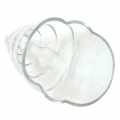 Best Pirce 😀 BarMan BarConic® Tiki Mug - Conch Glass - 22 Ounce ✨ -Barman Sales Store gw conch2 bpc 800 1 700x700