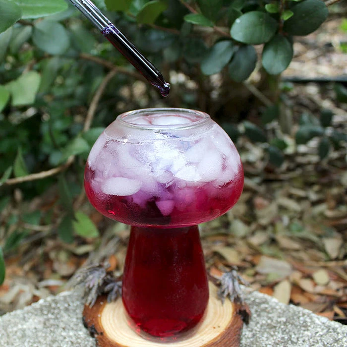 Best reviews of 💯 BarMan BarConic® Mushroom Cocktail Glass - 9 Oz. 🌟 2 Best reviews of 💯 BarMan BarConic® Mushroom Cocktail Glass - 9 Oz. 🌟 - Image 2