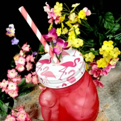 New 🛒 BarMan BarConic® Glassware - Pink Flamingo Glass - 18 Ounce 😀 -Barman Sales Store pink flamingo jar bpc 5 700x700